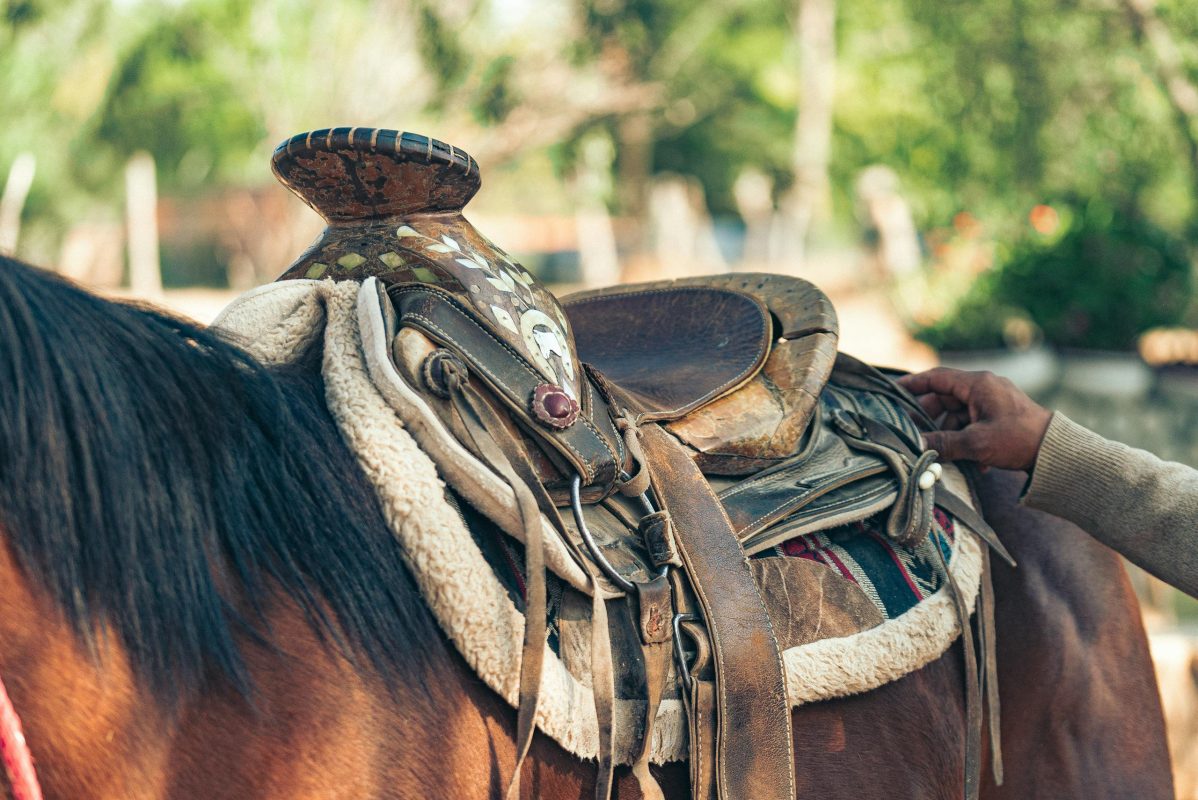 ye-olde-west:-what-sort-of-snake-bellied-varmints-will-your-fantasy-western-character-fight?